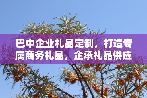 巴中企业礼品定制，打造专属商务礼品，企承礼品供应链引领行业新风尚
